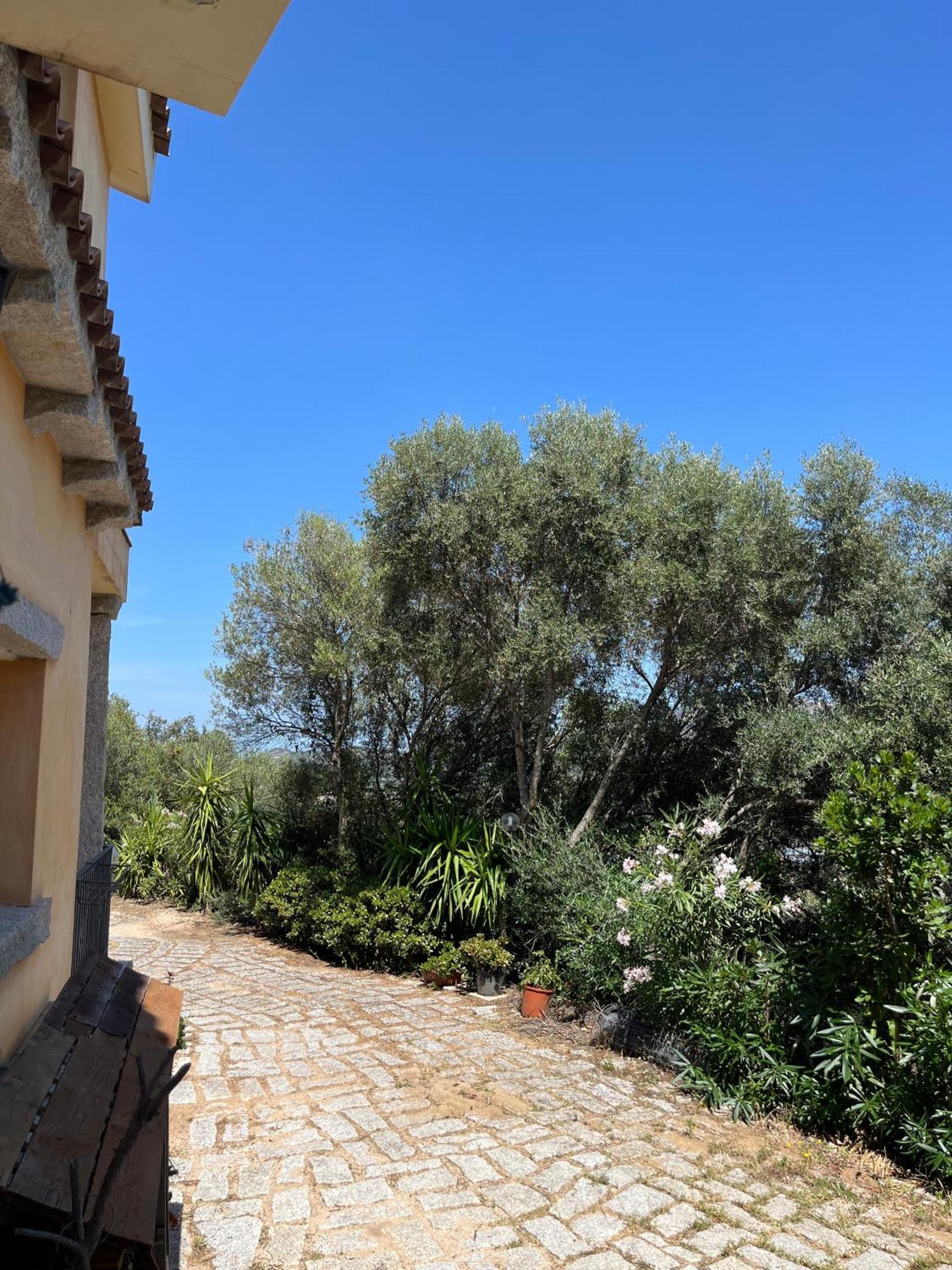 Venti Di Vacanza - Levante & Grecale Olbia Exterior foto